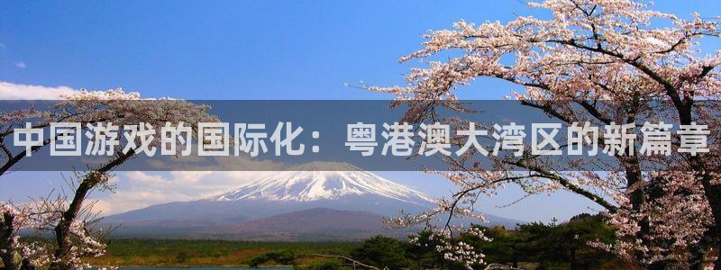 im电竞官网登录注册不了：中国游戏的国际化：粤港澳大湾区的新篇章