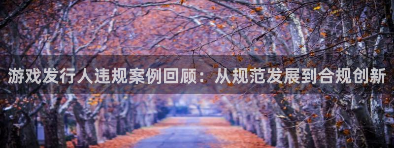 im电竞官网平台代理条件如何：游戏发行人违规案例回顾：从规范发展到合规创新