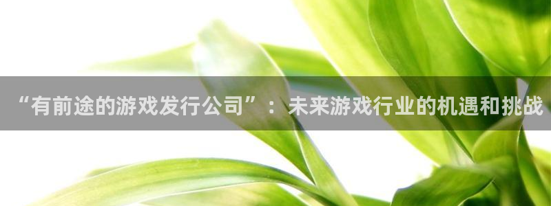 im电竞科技股票：“有前途的游戏发行公司”：未来游戏行业的机遇和挑战