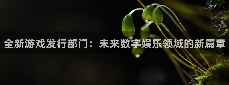 im电竞实业投资(东莞)有限公司：全新游戏发行部门：未来数字娱乐领域的新篇章