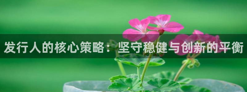 im电竞装饰：发行人的核心策略：坚守稳健与创新的平衡