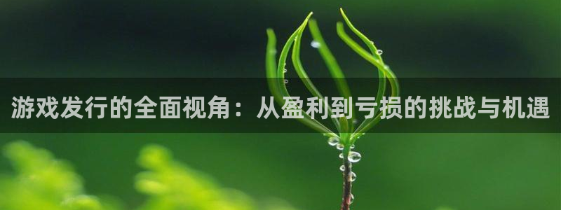 广东im电竞电商bruno