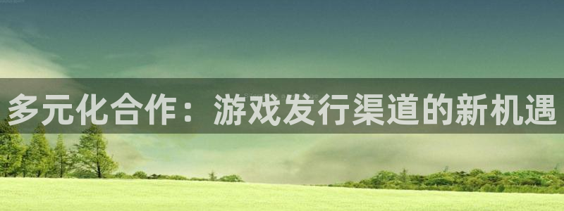 im电竞官网注册平台登录：多元化合作：游戏发行渠道的新机遇
