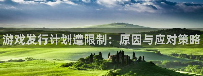 im电竞官网游戏平台介绍