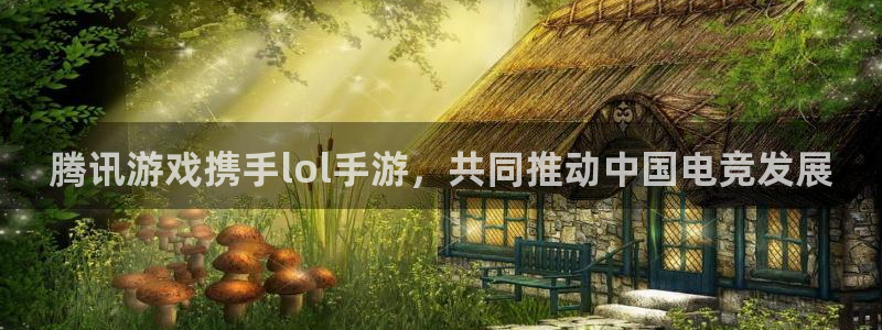 im电竞电商怎么样知乎