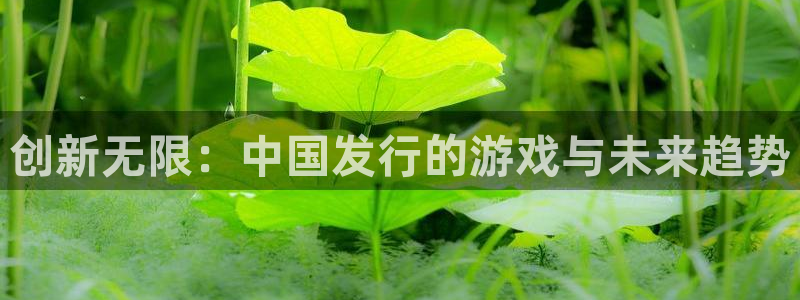 im电竞环境科技有限公司