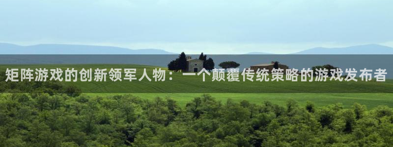 im电竞官网挂机项目怎么样啊