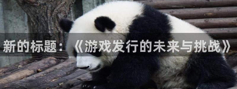 im电竞官网代理开号