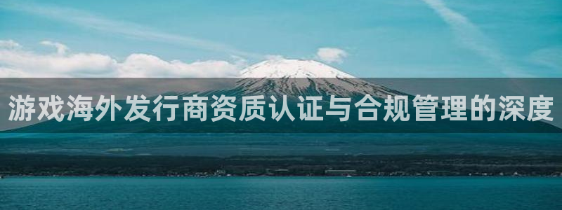 im电竞官网注册平台是什么：游戏海外发行商资质认证与合规管理的深度