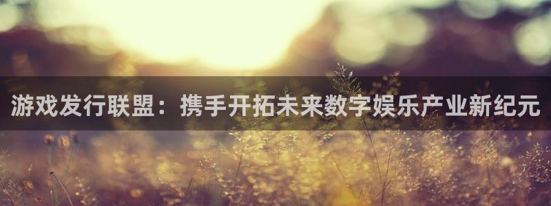 im电竞集团品牌策划机构：游戏发行联盟：携手开拓未来数字娱乐产业新纪元
