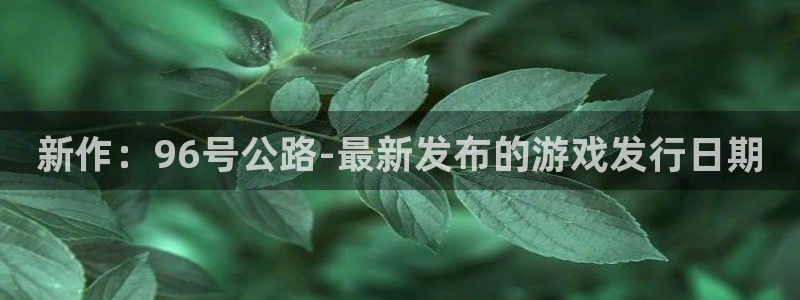 im电竞啤酒多少钱一箱：新作：96号公路-最新发布的游戏发行日期