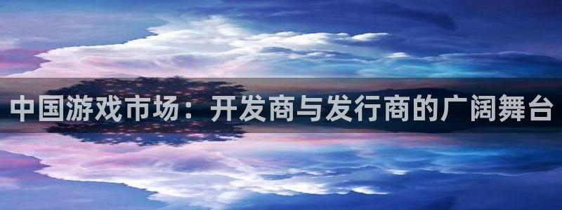 广州im电竞网络科技有限公司怎么样：中国游戏市场：开发商与发行商的广阔舞台