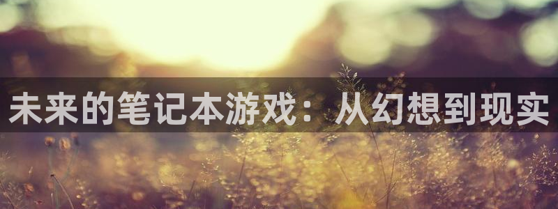 im电竞官网注册登录失败：未来的笔记本游戏：从幻想到现实
