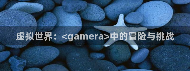 im电竞电子商务有限公司招聘