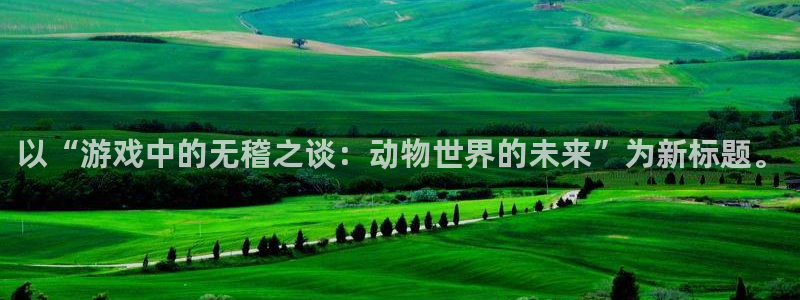 广州im电竞网络科技有限公司电话