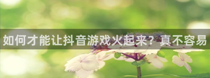 东莞im电竞信息科技有限公司