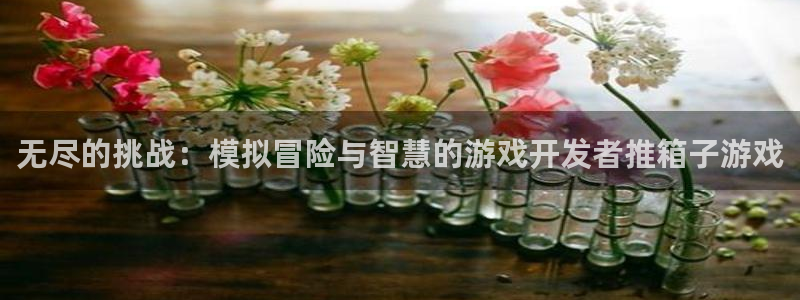 im电竞注册开户：无尽的挑战：模拟冒险与智慧的游戏开发者推箱子游戏