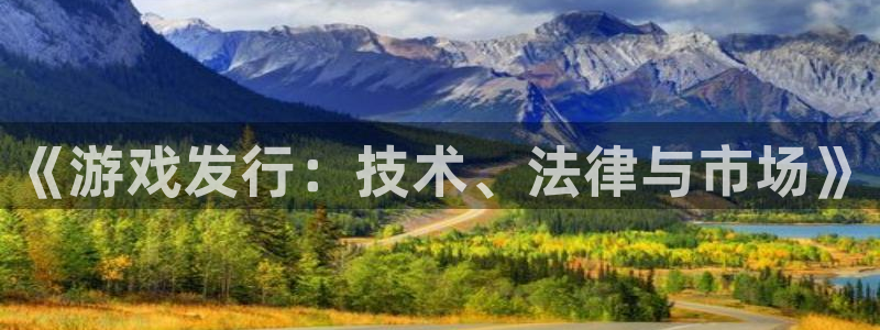 im电竞球队