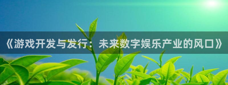 im电竞官网登录注册账号是什么：《游戏开发与发行：未来数字娱乐产业的风口》