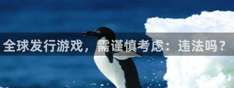 im电竞子怎么来的