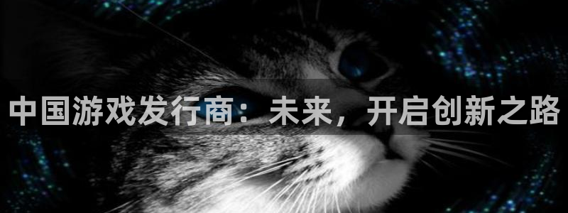 im电竞官网注册平台：中国游戏发行商：未来，开启创新之路