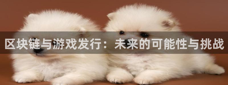 陕西省西安市im电竞子文化创意