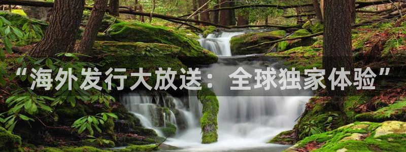 im电竞子经理人