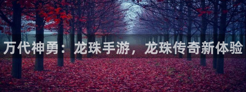 im电竞品牌设计