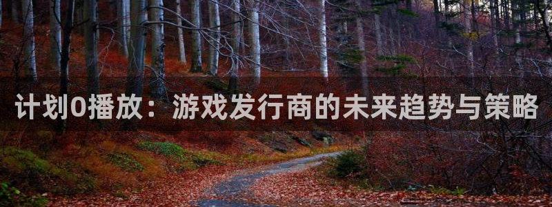 四川im电竞科技有限公司怎么样