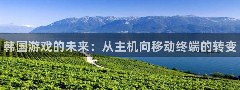 陕西im电竞子文化创意有限公司是做什么的：韩国游戏的未来：从主机向移动终端的转变