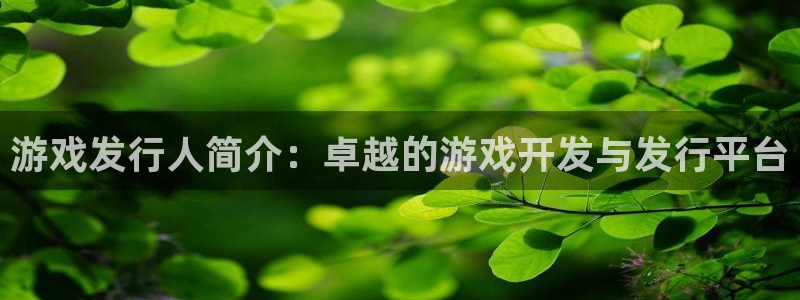 im电竞电商怎么样知乎：游戏发行人简介：卓越的游戏开发与发行平台
