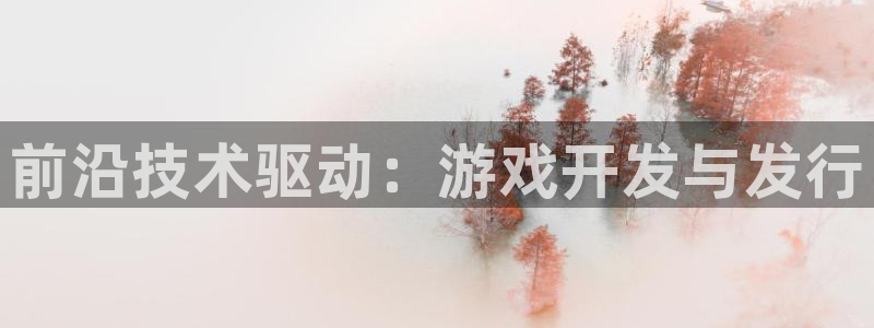 im电竞官网登录注册失败怎么回事