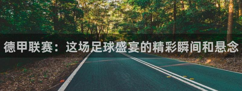 鲸鱼体育怎么看直播：德甲联赛：这场足球盛宴的精彩瞬间和悬念