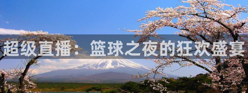 cc67tv鲸鱼体育：超级直播：篮球之夜的狂欢盛宴