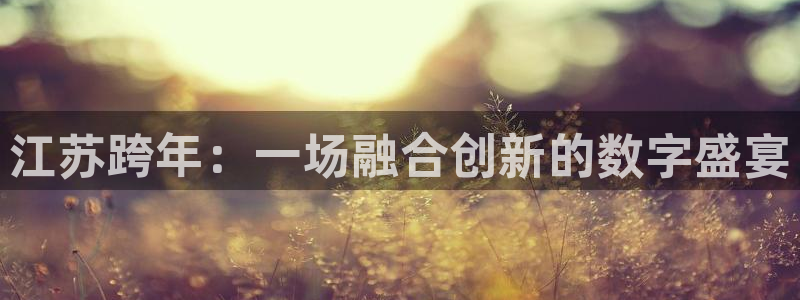 鲸鱼体育免费版：江苏跨年：一场融合创新的数字盛宴