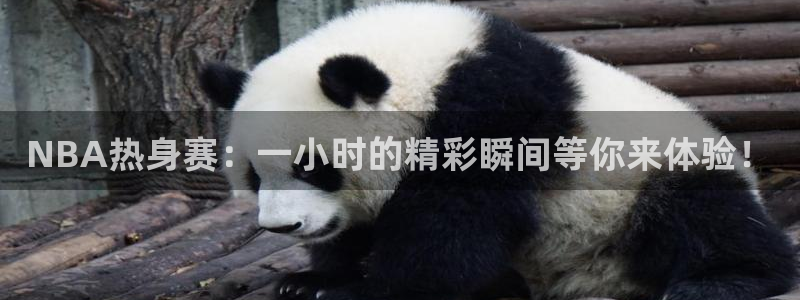 鲸鱼体育直播：NBA热身赛：一小时的精彩瞬间等你来体验！