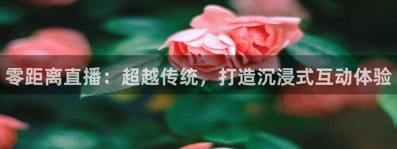 鲸鱼体育免费直播nba：零距离直播：超越传统，打造沉浸式互动体验