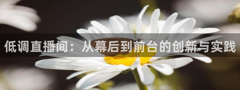 鲸鱼体育nba直播：低调直播间：从幕后到前台的创新与实践
