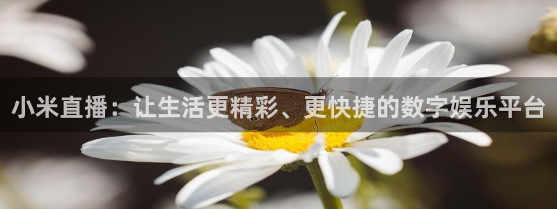 鲸鱼tv直播：小米直播：让生活更精彩、更快捷的数字娱乐平台