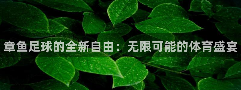 鲸鱼体育直播在线观看：章鱼足球的全新自由：无限可能的体育盛宴