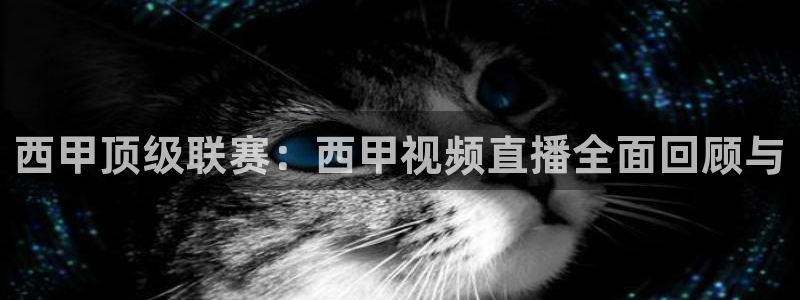 鲸鱼体育在线直播高清：西甲顶级联赛：西甲视频直播全面回顾与
