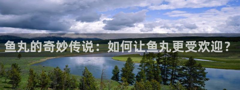 cc67tv鲸鱼体育：鱼丸的奇妙传说：如何让鱼丸更受欢迎？