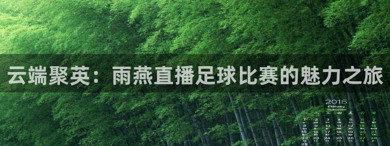 鲸鱼体育直播免费：云端聚英：雨燕直播足球比赛的魅力之旅