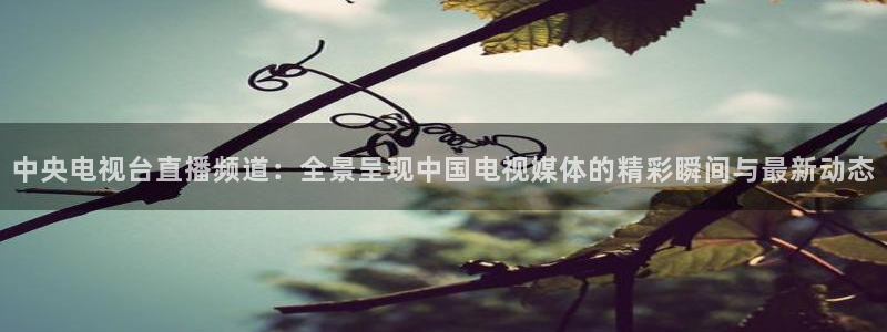鲸鱼体育在线：中央电视台直播频道：全景呈现中国电视媒体的精彩瞬间与最新动态